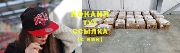 прущие грибы Сосновка