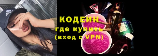прущие грибы Сосновка
