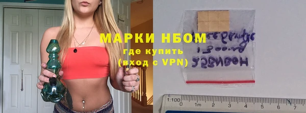 прущие грибы Сосновка