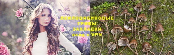 ECSTASY Сосновый Бор