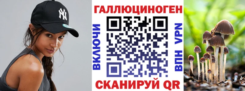 Псилоцибиновые грибы мицелий  Судогда 